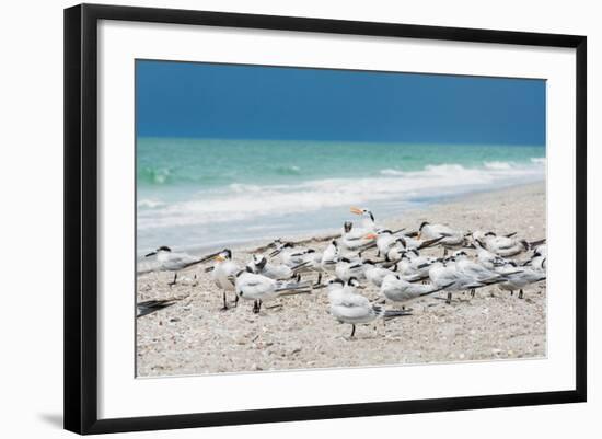 Seagulls on the Beach-Philippe Hugonnard-Framed Photographic Print