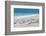 Seagulls on the Beach-Philippe Hugonnard-Framed Photographic Print