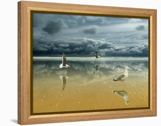 Seagulls on the Beach-Carlos Casamayor-Framed Premier Image Canvas