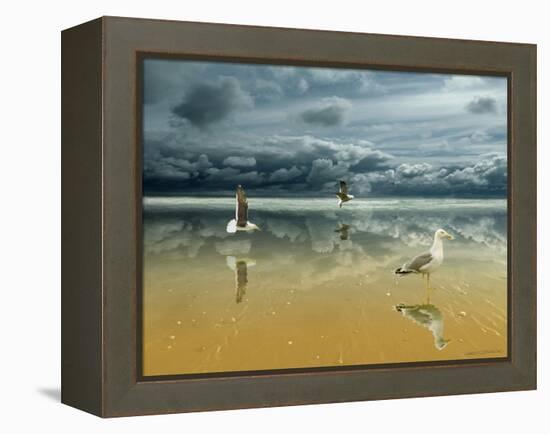 Seagulls on the Beach-Carlos Casamayor-Framed Premier Image Canvas