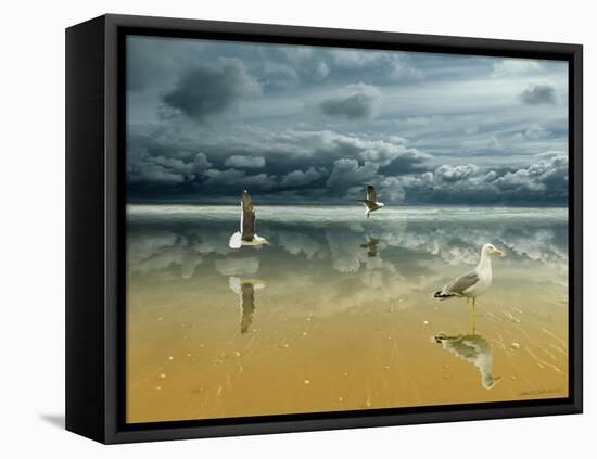 Seagulls on the Beach-Carlos Casamayor-Framed Premier Image Canvas