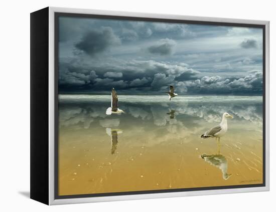 Seagulls on the Beach-Carlos Casamayor-Framed Premier Image Canvas