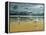 Seagulls on the Beach-Carlos Casamayor-Framed Premier Image Canvas