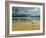 Seagulls on the Beach-Carlos Casamayor-Framed Giclee Print