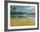 Seagulls on the Beach-Carlos Casamayor-Framed Giclee Print