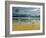 Seagulls on the Beach-Carlos Casamayor-Framed Giclee Print