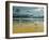 Seagulls on the Beach-Carlos Casamayor-Framed Giclee Print