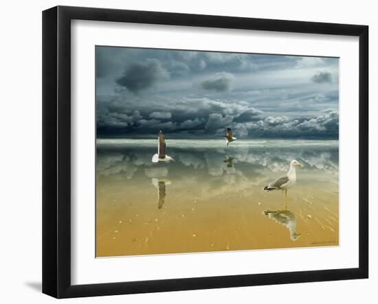 Seagulls on the Beach-Carlos Casamayor-Framed Giclee Print