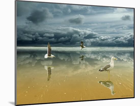 Seagulls on the Beach-Carlos Casamayor-Mounted Giclee Print