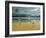 Seagulls on the Beach-Carlos Casamayor-Framed Giclee Print