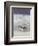 Seagulls-Nicolas De Stael-Framed Collectable Print