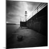 Seahorde-Craig Roberts-Mounted Photographic Print