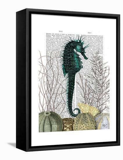 SeaHorse and Sea Urchins-Fab Funky-Framed Stretched Canvas