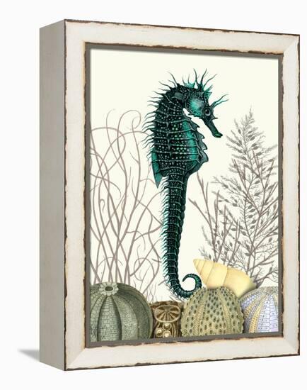 SeaHorse and Sea Urchins-Fab Funky-Framed Stretched Canvas