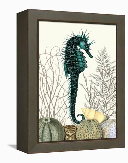 SeaHorse and Sea Urchins-Fab Funky-Framed Stretched Canvas