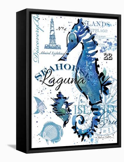 Seahorse Laguna-Julie Paton-Framed Stretched Canvas