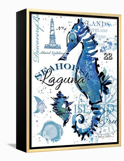 Seahorse Laguna-Julie Paton-Framed Stretched Canvas