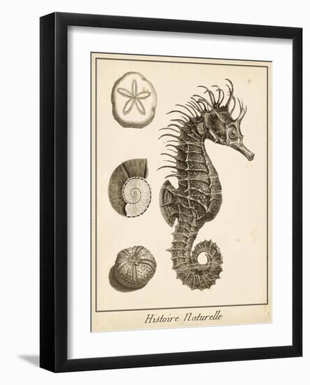 Seahorse Study I-Vision Studio-Framed Art Print