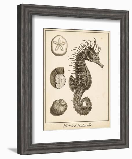 Seahorse Study I-Vision Studio-Framed Art Print