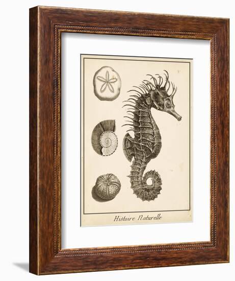 Seahorse Study I-Vision Studio-Framed Art Print