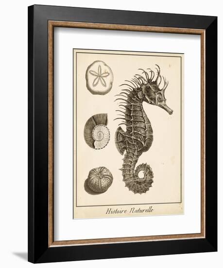 Seahorse Study I-Vision Studio-Framed Art Print