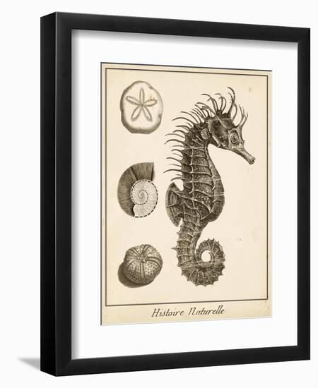 Seahorse Study I-Vision Studio-Framed Art Print