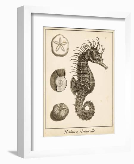 Seahorse Study I-Vision Studio-Framed Art Print