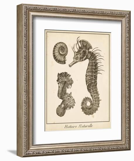 Seahorse Study II-Vision Studio-Framed Premium Giclee Print