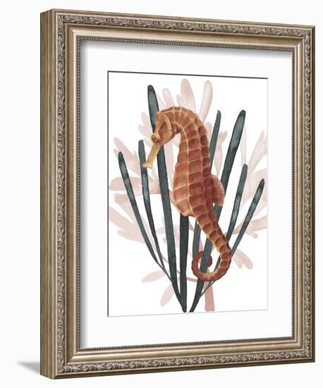 Seahorse Treasures II-Grace Popp-Framed Art Print