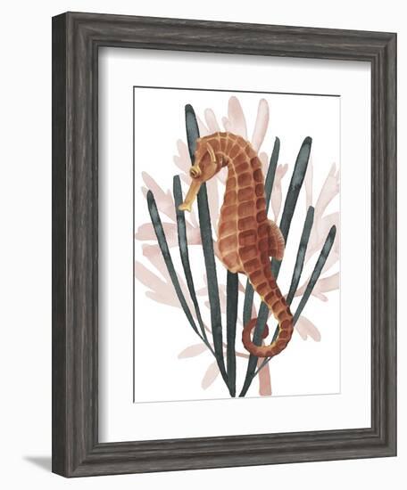 Seahorse Treasures II-Grace Popp-Framed Art Print