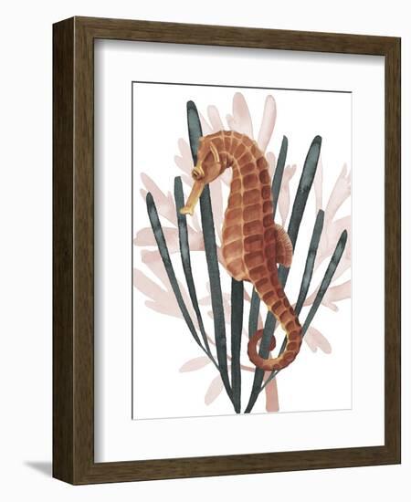 Seahorse Treasures II-Grace Popp-Framed Art Print