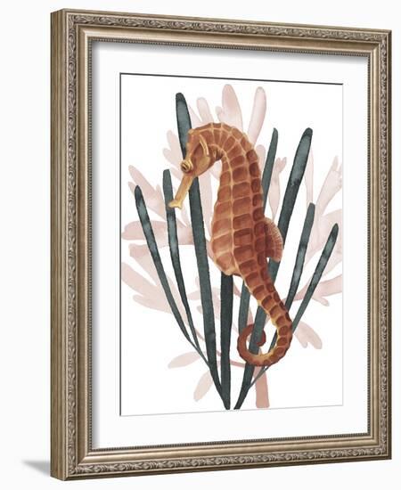 Seahorse Treasures II-Grace Popp-Framed Art Print