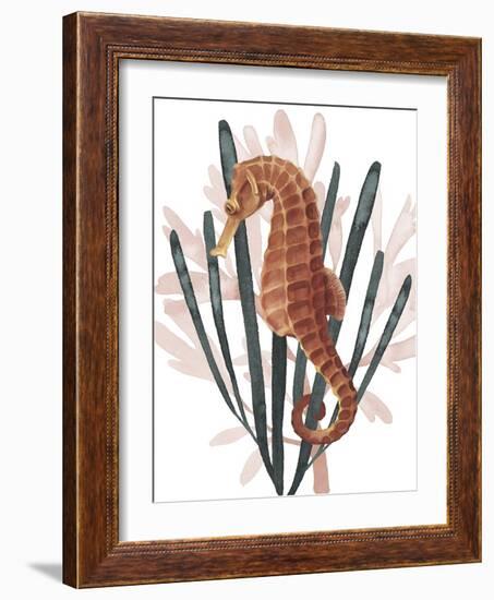 Seahorse Treasures II-Grace Popp-Framed Art Print