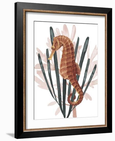 Seahorse Treasures II-Grace Popp-Framed Art Print