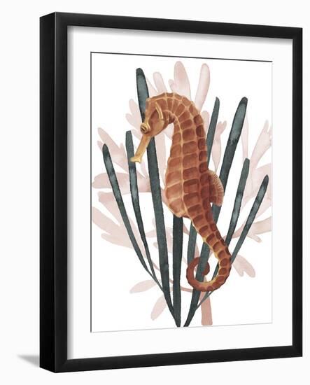 Seahorse Treasures II-Grace Popp-Framed Art Print