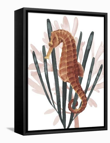 Seahorse Treasures II-Grace Popp-Framed Stretched Canvas