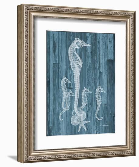 Seahorse Wood-Albert Koetsier-Framed Art Print