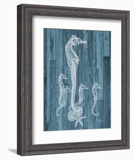 Seahorse Wood-Albert Koetsier-Framed Art Print