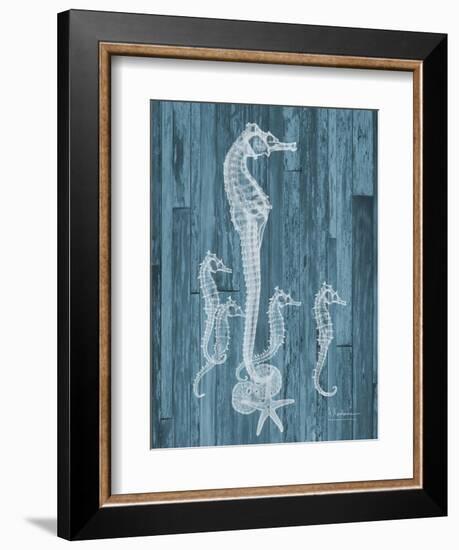 Seahorse Wood-Albert Koetsier-Framed Art Print