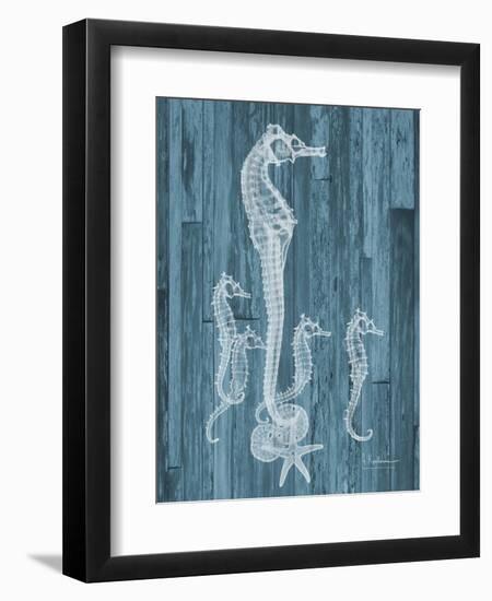 Seahorse Wood-Albert Koetsier-Framed Art Print