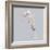 Seahorse-Justin Lloyd-Framed Giclee Print