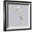 Seahorse-Justin Lloyd-Framed Giclee Print