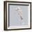 Seahorse-Justin Lloyd-Framed Art Print