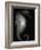 Seahorse-Henry Horenstein-Framed Photographic Print