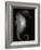 Seahorse-Henry Horenstein-Framed Photographic Print