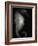 Seahorse-Henry Horenstein-Framed Photographic Print