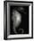 Seahorse-Henry Horenstein-Framed Photographic Print