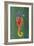 Seahorse-Design Turnpike-Framed Giclee Print