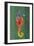 Seahorse-Design Turnpike-Framed Giclee Print