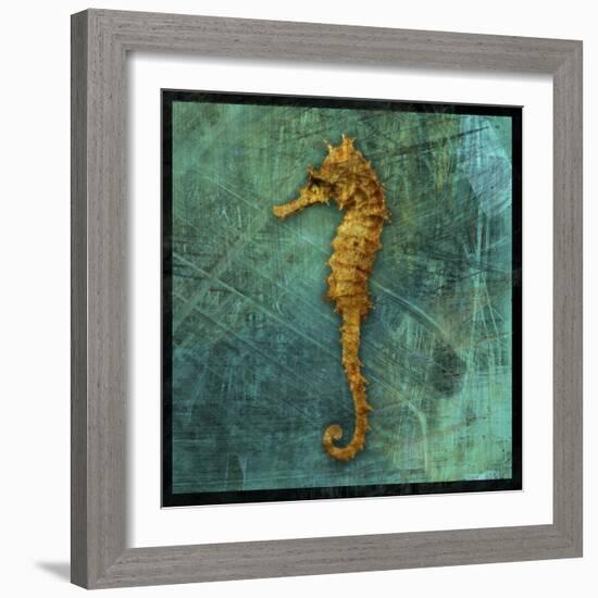 Seahorse-John W Golden-Framed Giclee Print